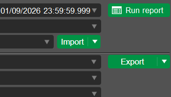 Milliseconds in report parameters